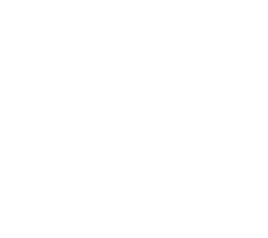 Logo-blanc-Dc-logisitc