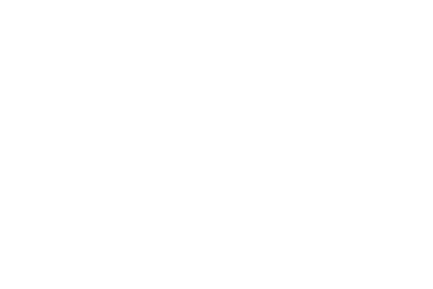 logo blanc Reals